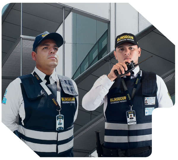 Asesoría y consultoría de seguridad IPERSEGUR