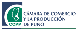 Asociado 4